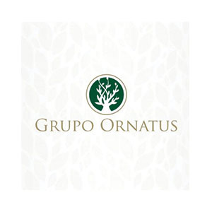 GRUPO ORNATUS GRUPO ORNATUS